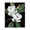 Stupell Industries Vintage Bay Magnolia Framed Giclee, design by Paul Brent